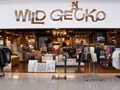 Wild Gecko - Retail Store